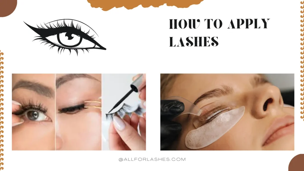 How to Apply Lashes