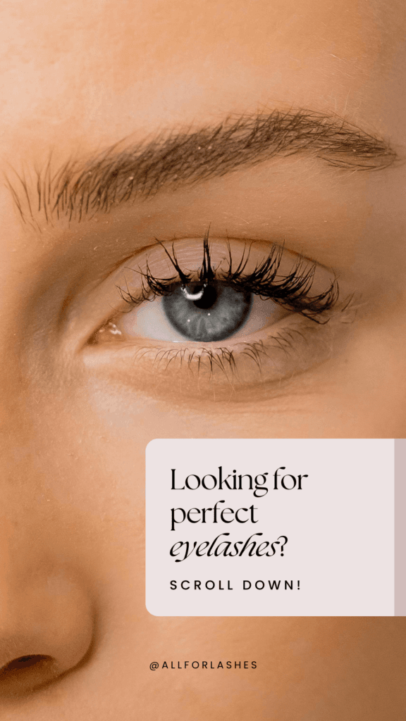 Lashes
