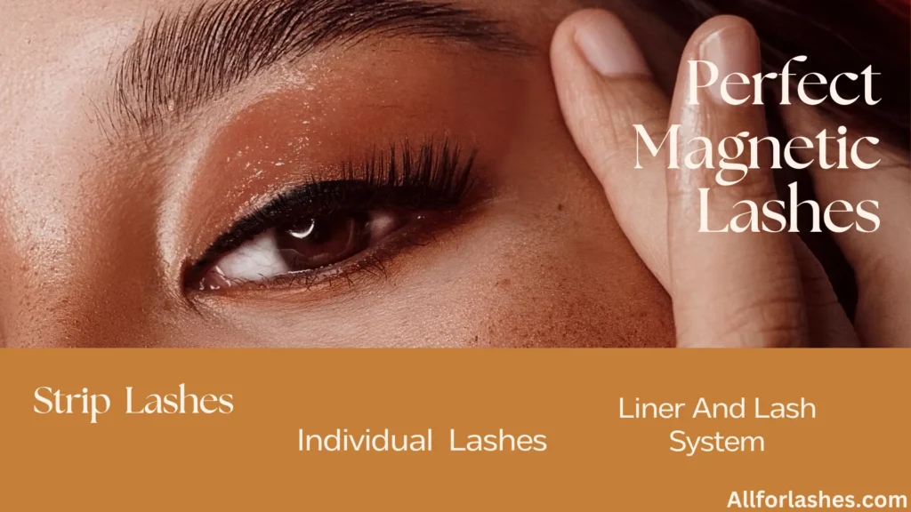 Types Of Magnetic Lashes